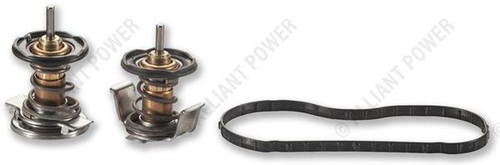 2008-10 Ford 6.4L Power Stroke Thermostat Kit