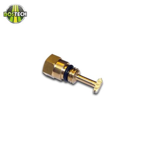 Ford Fuel Drain Plug