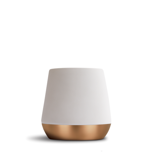 Fellow :: Joey Double Wall Ceramic Mug