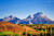 Mountain Trip Tickets