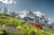 Mountain Trip Tickets