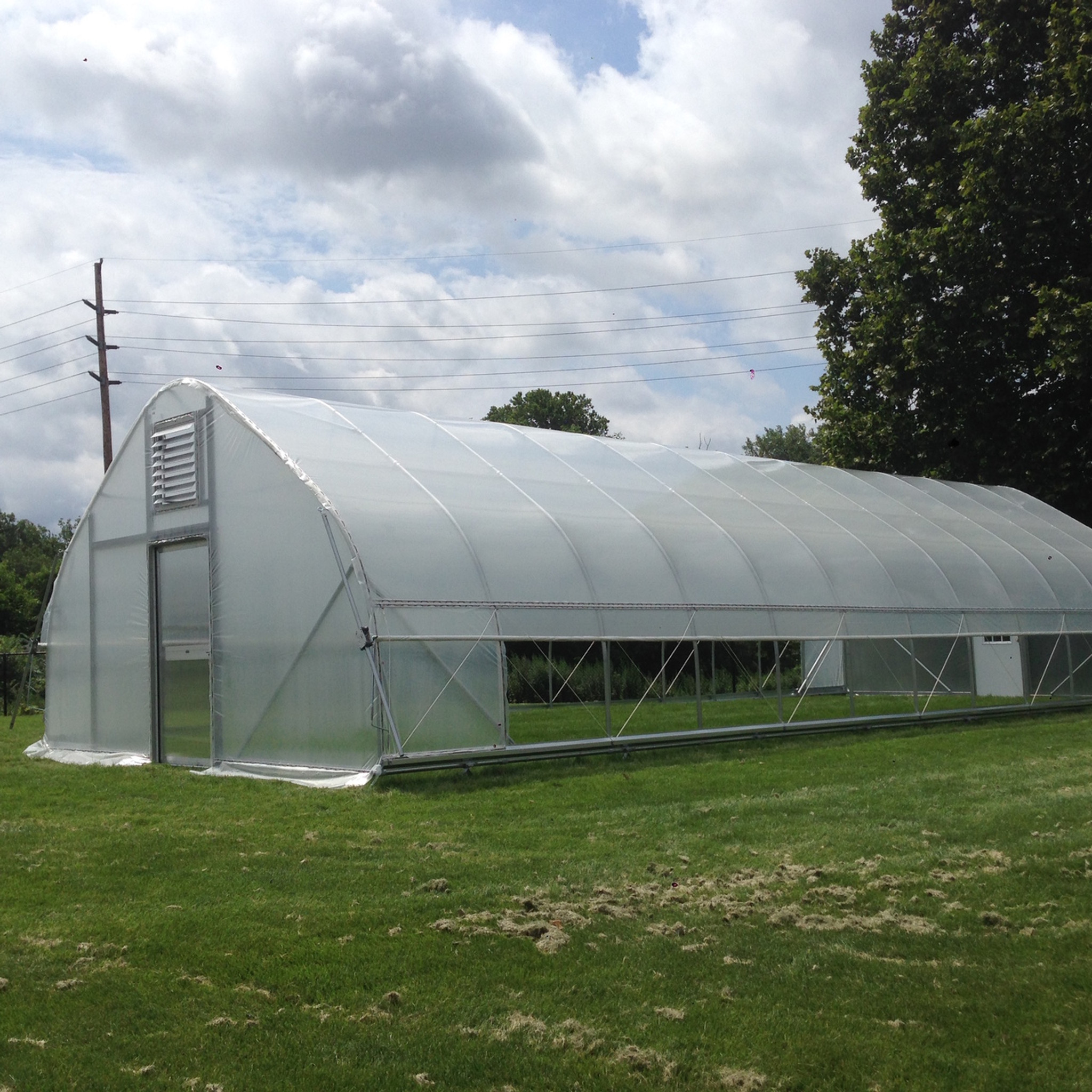 Gothic High Tunnel 20 ft. Wide High Tunnel Greenhouse