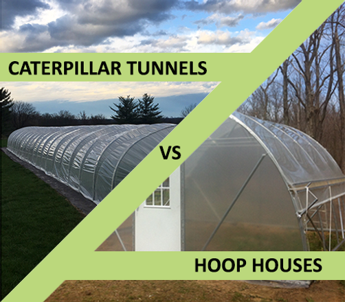 Caterpillar Tunnel vs Hoop House - Low Cost Growing Structures Compared