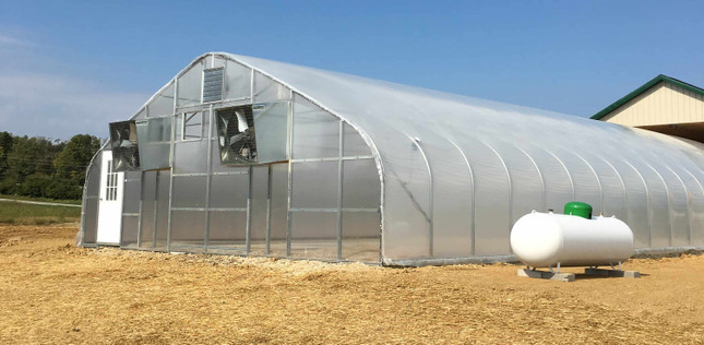 5 Benefits of a Dedicated Seed Starting Propagation Greenhouse | Are Greenhouses Good for Seeds