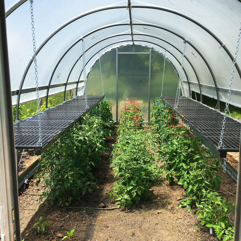 Hoop House Bench Installation Completed for a Backyard Homesteader and Gardener