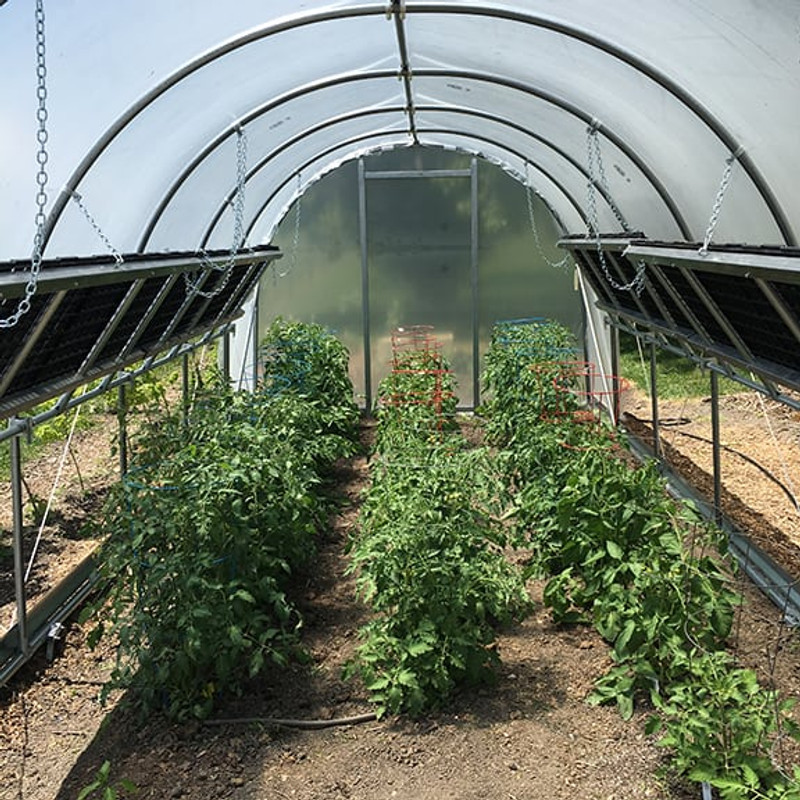 Greenhouse Hoops For Diy Or Wider Plant Tunnel - Temu