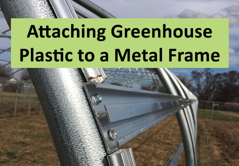 4 Ways to Attach Greenhouse Plastic to a Metal Frame - Do it Right the First time