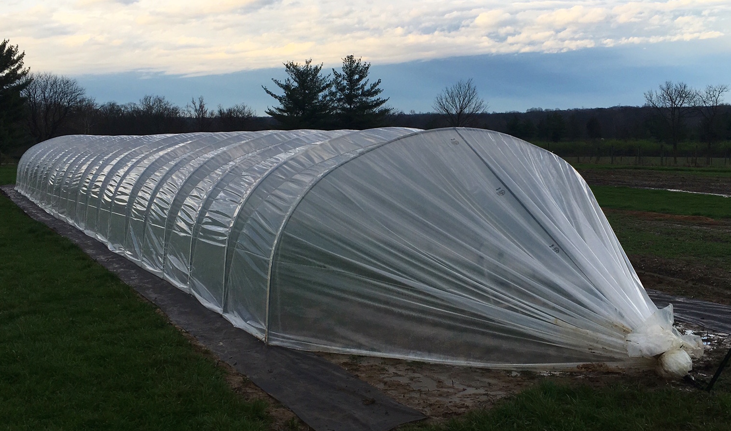 Why Caterpillar Tunnels Have Become Popular Growing Structures - Tunnel