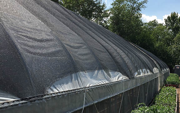 Best Shade Cloth for Tomato Production - Reduce Detrimental