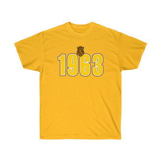 Iota Phi Theta Heavyweight Established T-Shirt