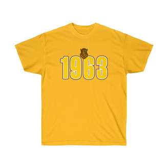 Printify Iota Phi Theta Heavyweight Established T-Shirt 
