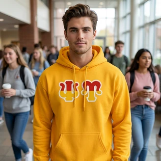Psi Upsilon Two Toned Greek Lettered Hooded Sweatshirts