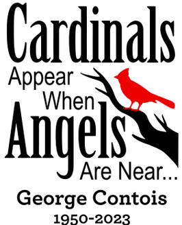 Cardinals Appear When Angels Are Near Memory Sticker