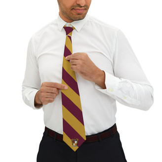  Phi Kappa Theta Striped Necktie 