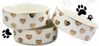 Sorority Pet Bowl
