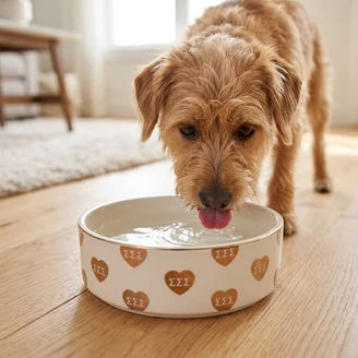Sorority Pet Bowl