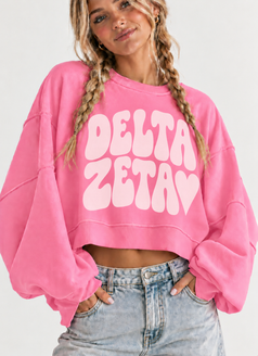 Delta Zeta Cropped Sweatshirt – Long Sleeve Loose Fit Pullover with Side Slits