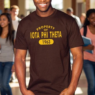 Iota Phi Theta Property of Est.T-shirts