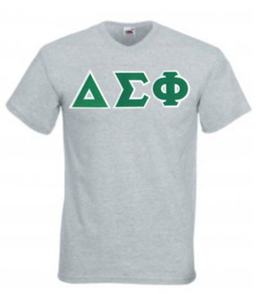 DISCOUNT- Delta Sigma Phi Lettered V-Neck T-Shirt