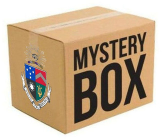 Delta Tau Delta Surprise Box