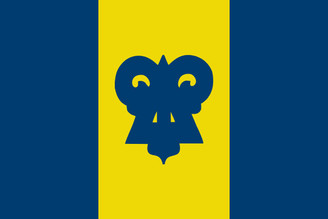  Delta Upsilon 3' x 5' Flag 