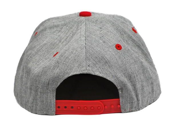  Phi Sigma Kappa Flatbill Snapback Hats Original 