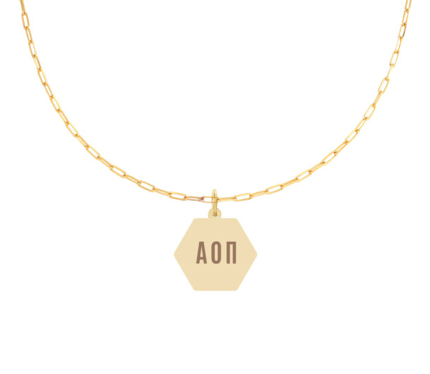 Alpha Omicron Pi Paperclip Necklaces