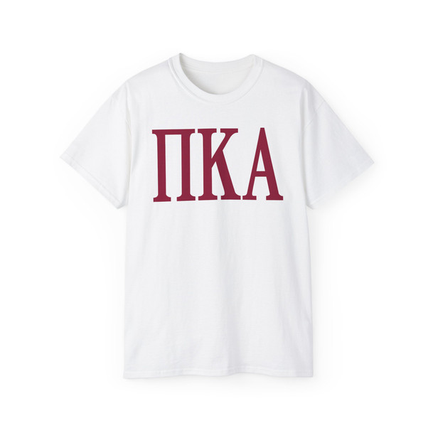 PI KAPPA ALPHA LETTERED TEE - $24.95