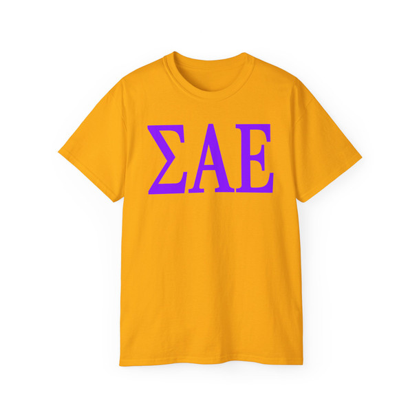 SIGMA ALPHA EPSILON LETTERED TEE - $24.95