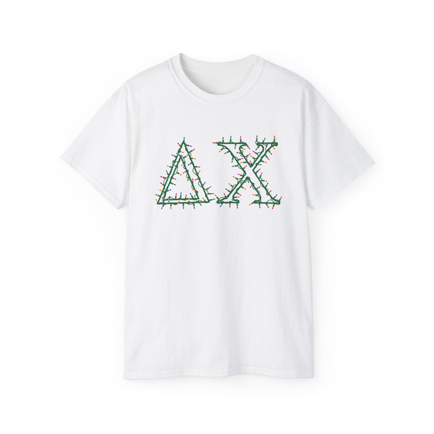 Delta Chi Holiday Lights