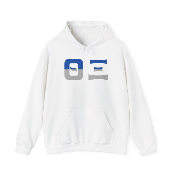 Theta Xi Two Toned Greek Lettered Hooded Sweatshirts