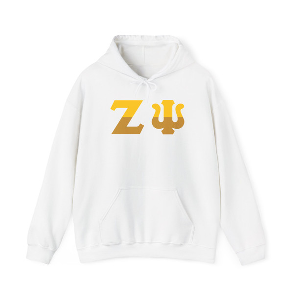 Zeta Psi Two Toned Greek Lettered Hooded Sweatshirts