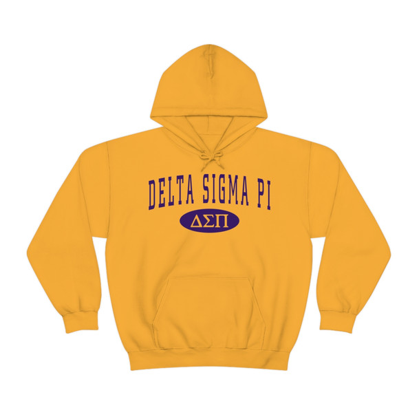 Delta Sigma Pi Group Hooded Sweatshirts