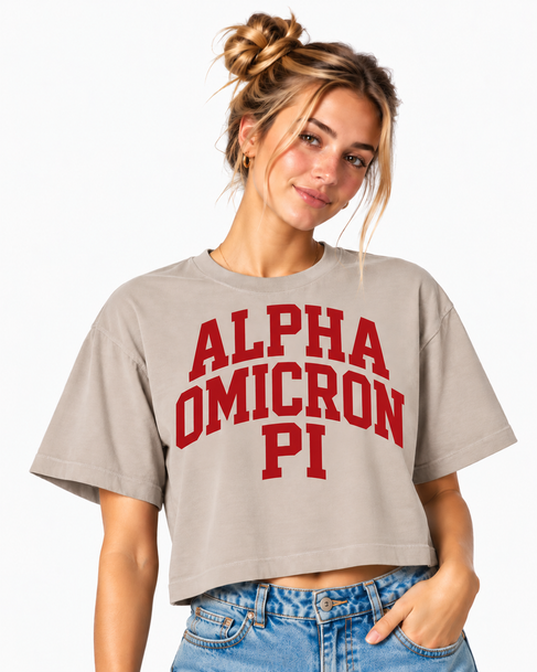 Alpha Omicron Pi American Apparel Boxy Tee