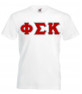 DISCOUNT- Phi Sigma Kappa Lettered V-Neck T-Shirt