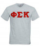  DISCOUNT- Phi Sigma Kappa Lettered V-Neck T-Shirt 