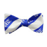 Phi Beta Sigma Bow Tie W/ Matching Handkerchief