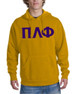  Pi Lambda Phi letter Hoodie 