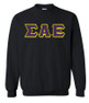  DISCOUNT Sigma Alpha Epsilon Lettered Crewneck - Best Value 