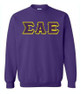  DISCOUNT Sigma Alpha Epsilon Lettered Crewneck - Best Value 