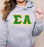  DISCOUNT Sigma Alpha Lettered Hooded Sweatshirt - Best Value 