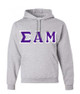  Sigma Alpha Mu Custom Twill Hooded Sweatshirt 