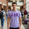Sigma Lambda Beta Greek Custom Comfort Colors Heavyweight T-Shirt