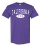  Sigma Lambda Beta State Shirt 