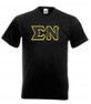 DISCOUNT- Sigma Nu Lettered V-Neck T-Shirt