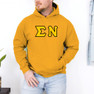  Sigma Nu Custom Twill Hooded Sweatshirt 
