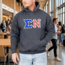 DISCOUNT-Sigma Nu Greek Letter American Flag Hoodie