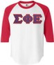  DISCOUNT- Sigma Phi Epsilon Lettered Raglan T-Shirt 