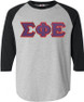  DISCOUNT- Sigma Phi Epsilon Lettered Raglan T-Shirt 