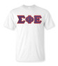 DISCOUNT Sigma Phi Epsilon Lettered T-shirt